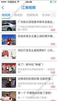 海门网红爆料新闻视频下载,事件详情曝光