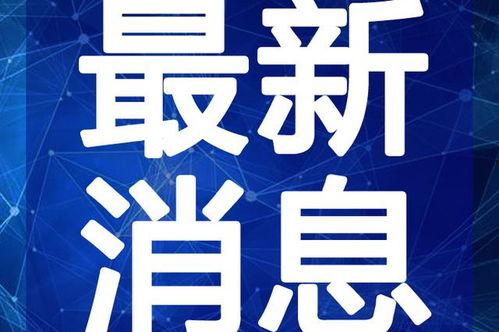 浩南训练营爆料视频最新,揭秘训练营幕后真相与明星学员成长历程 第2张 浩南训练营爆料视频最新,揭秘训练营幕后真相与明星学员成长历程 第2张